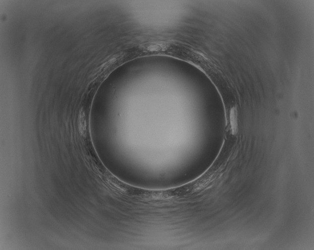 X0000074341443200608251339