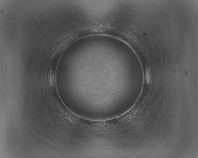 X0000074341444200608251339