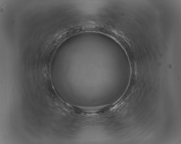 X0000074341445200608251339