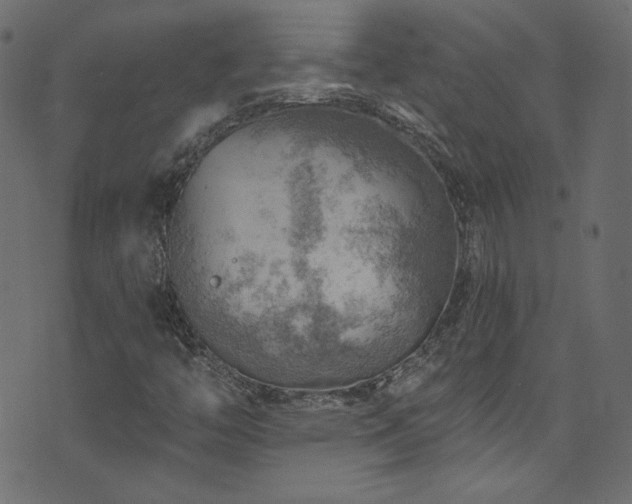 X0000074341446200608251339