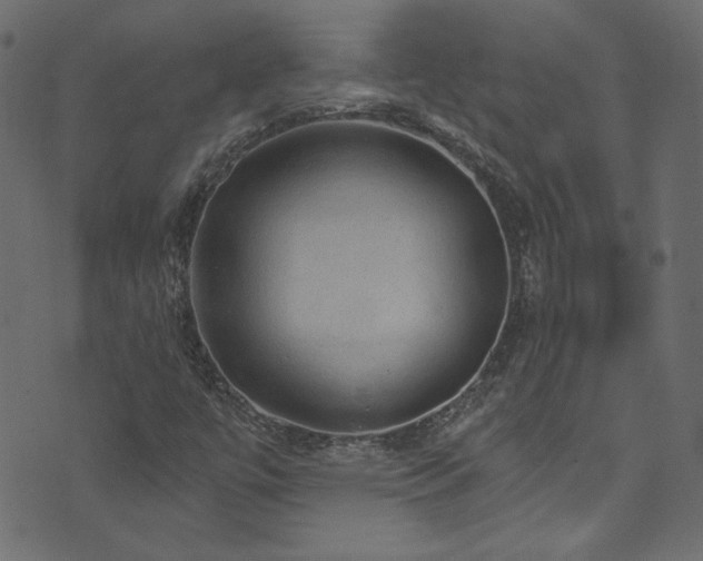 X0000074341447200608251339