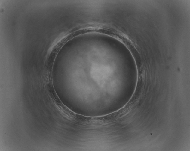 X0000074341448200608251339