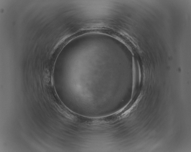 X0000074341449200608251339