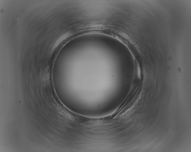 X0000074341450200608251339