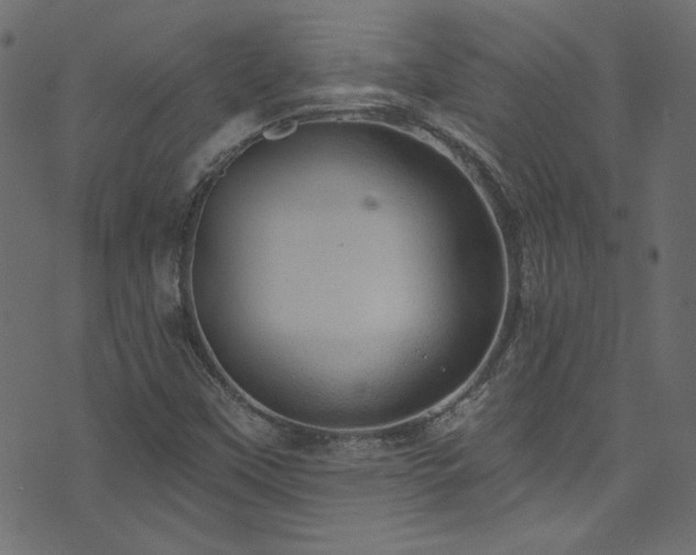 X0000074341451200608251339