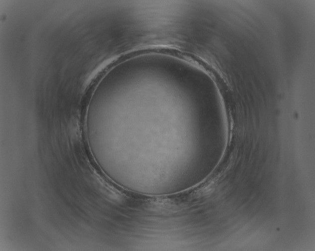 X0000074341452200608251339