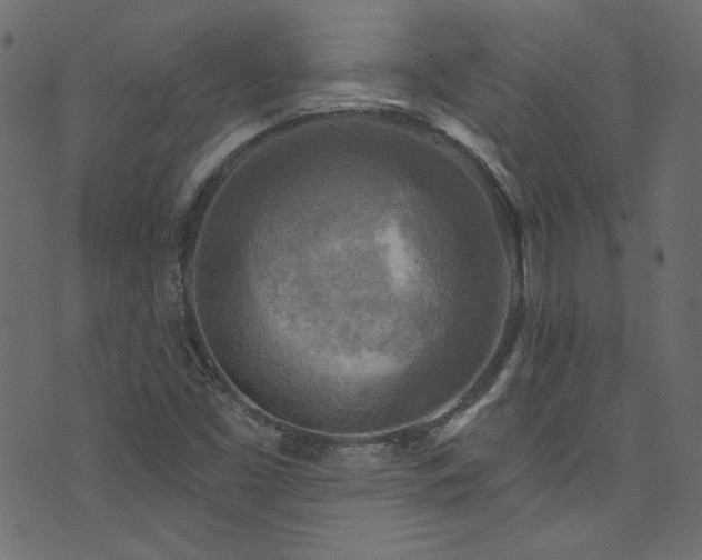 X0000074341453200608251339