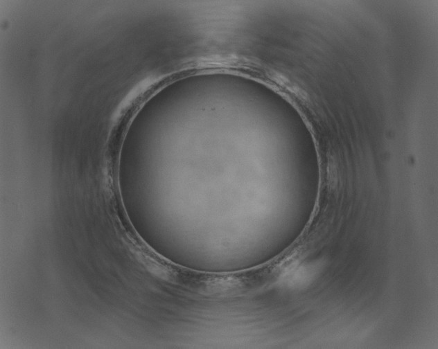 X0000074341454200608251339