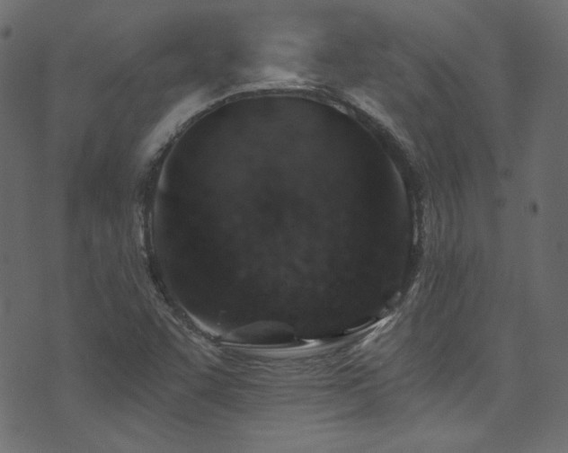 X0000074341455200608251339