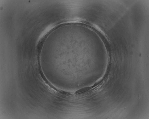 X0000074341456200608251339