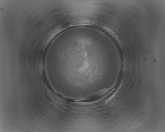 X0000074341457200608251339