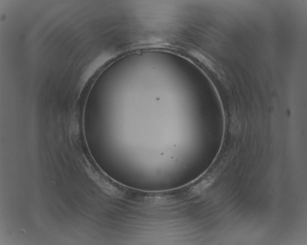 X0000074341458200608251339