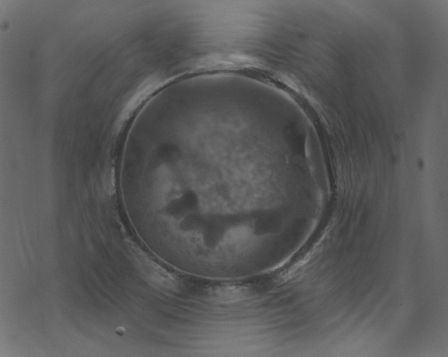 X0000074341459200608251339