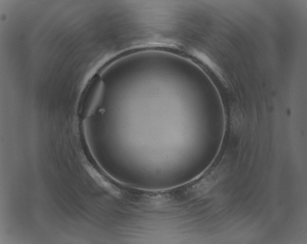 X0000074341460200608251339