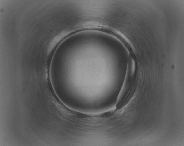 X0000074341461200608251339