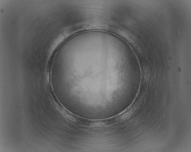 X0000074341462200608251339