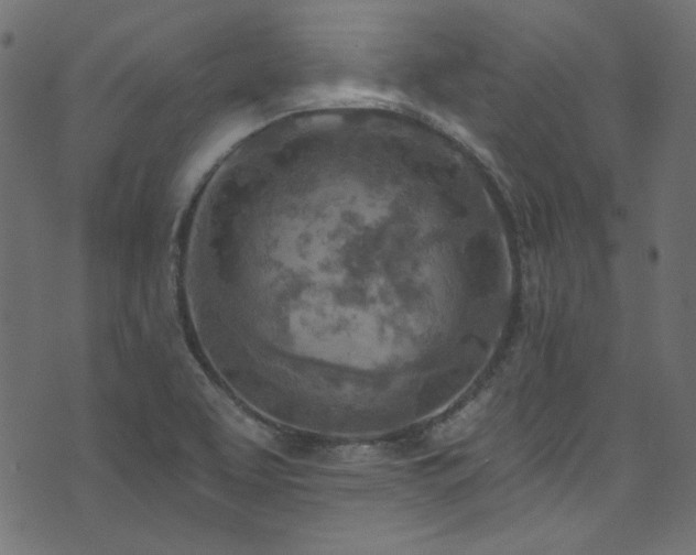 X0000074341463200608251339