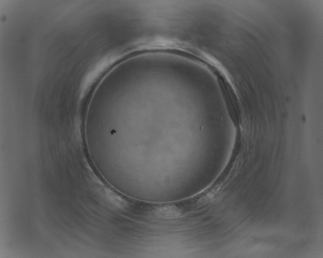 X0000074341464200608251339