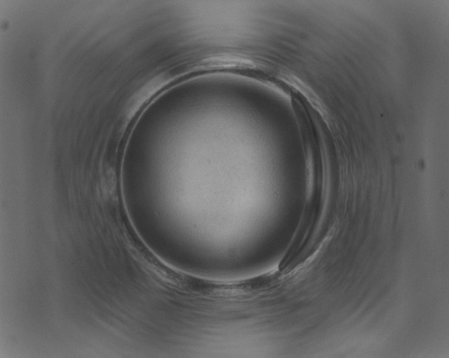 X0000074341465200608251339