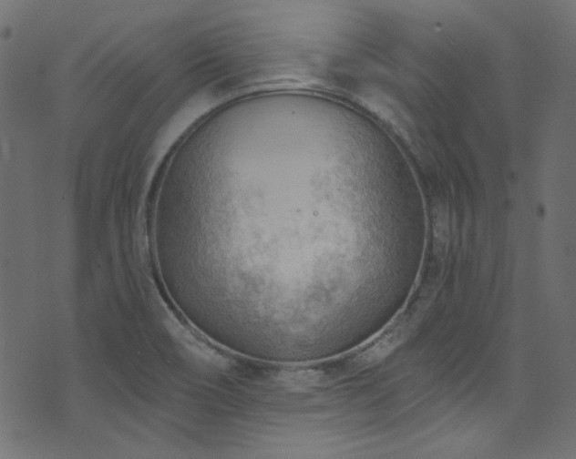 X0000074341466200608251339