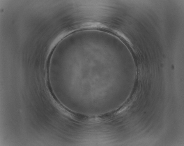 X0000074341467200608251339