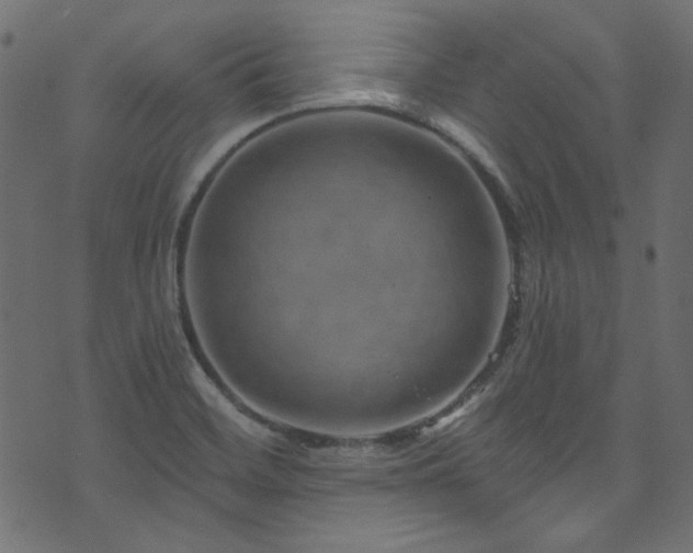 X0000074341468200608251339