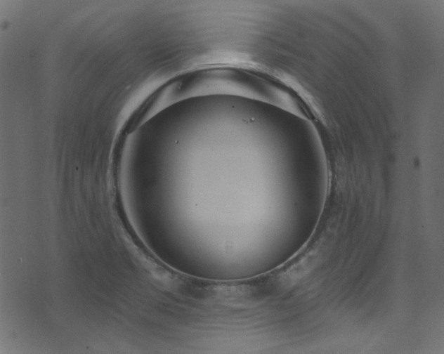 X0000074341469200608251338