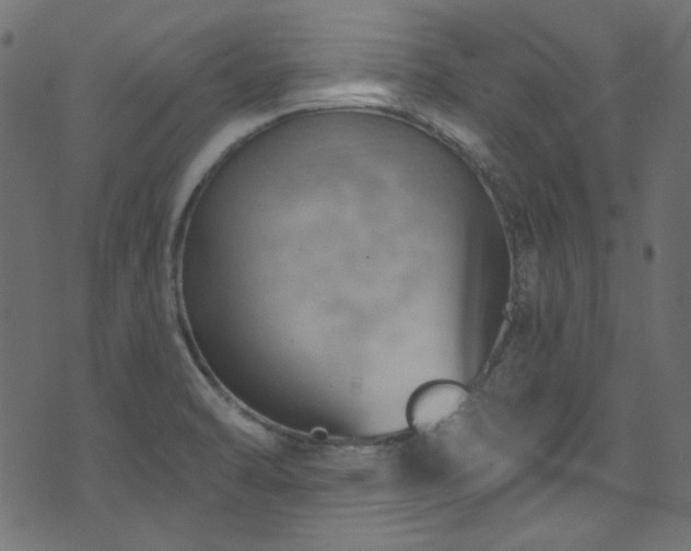 X0000074341470200608251338