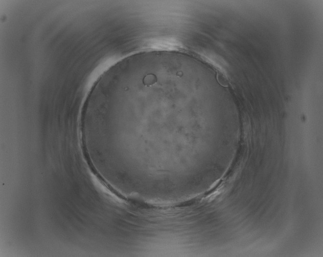 X0000074341471200608251338