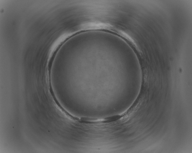 X0000074341472200608251338