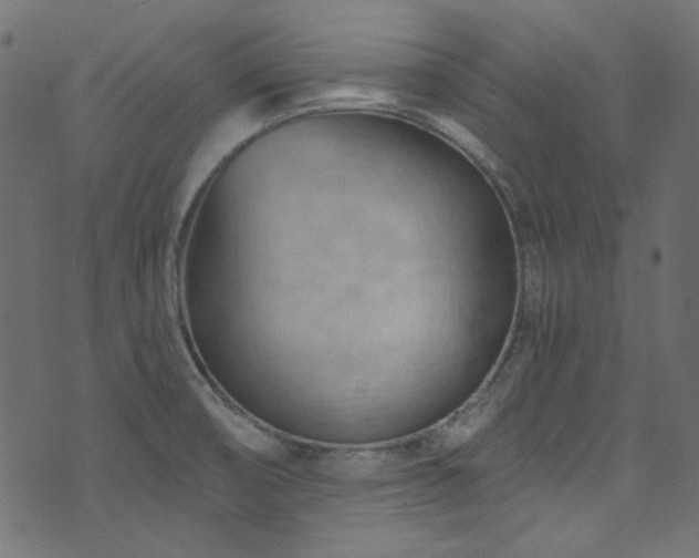 X0000074341474200608251338