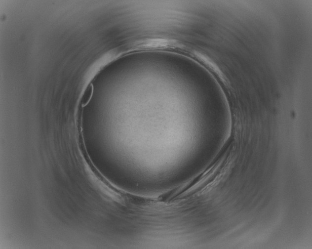 X0000074341475200608251338