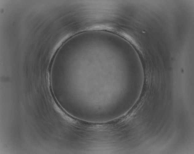 X0000074341476200608251338