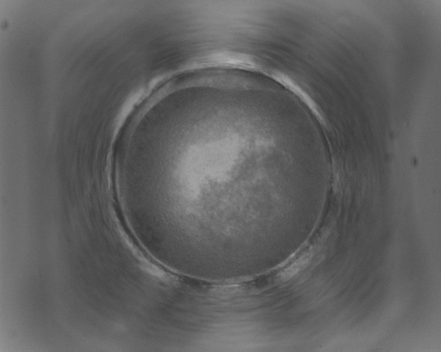 X0000074341477200608251338