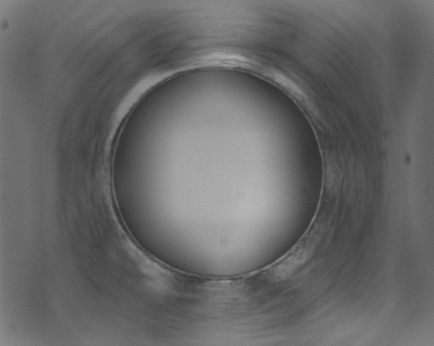 X0000074341478200608251338