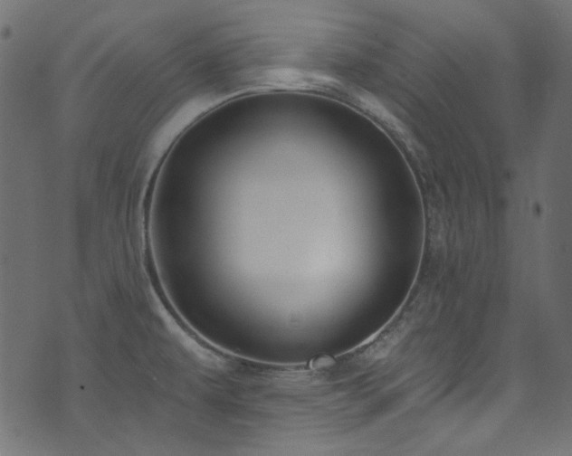 X0000074341479200608251338