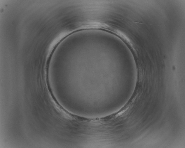 X0000074341480200608251338