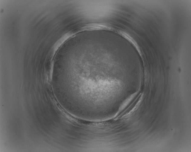 X0000074341481200608251338