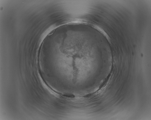 X0000074341483200608251338