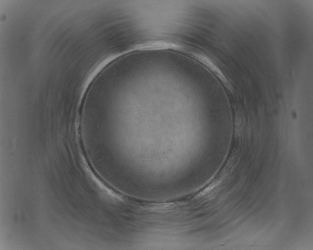 X0000074341484200608251338