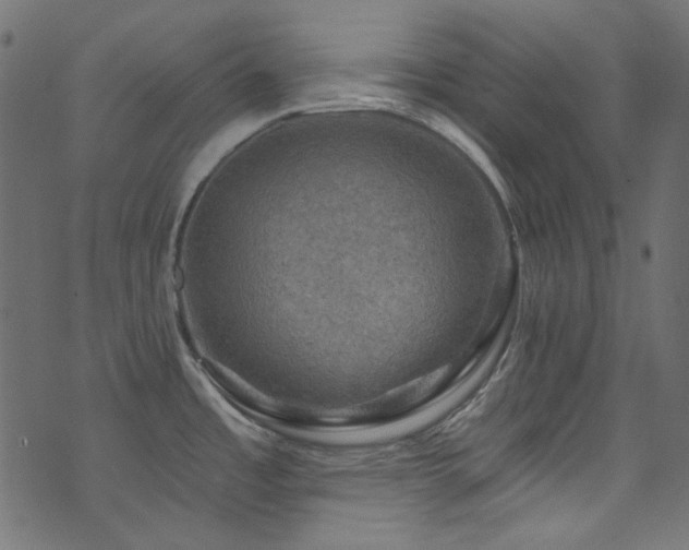 X0000074341485200608251338