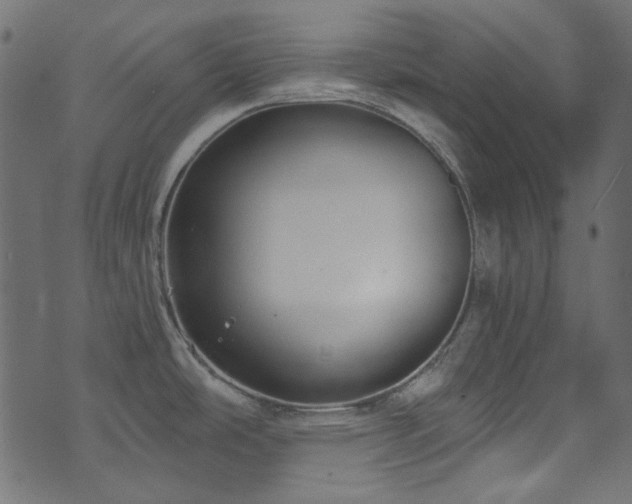 X0000074341486200608251338