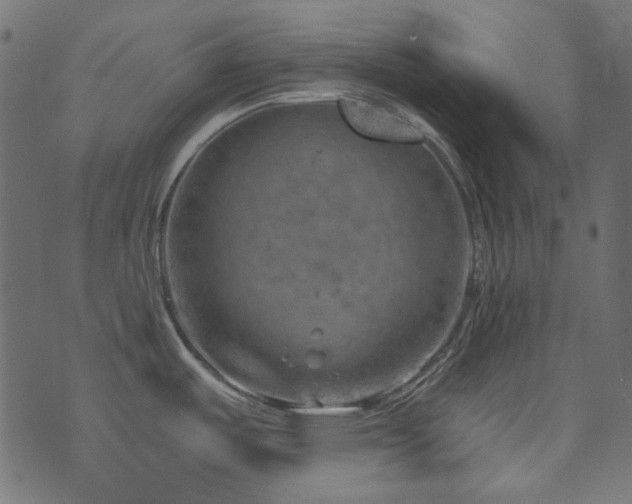 X0000074341487200608251338