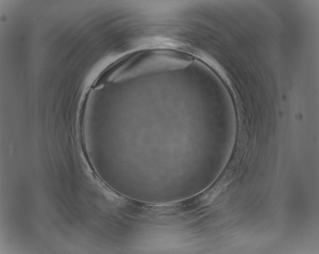 X0000074341488200608251338