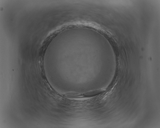 X0000074341494200608251338