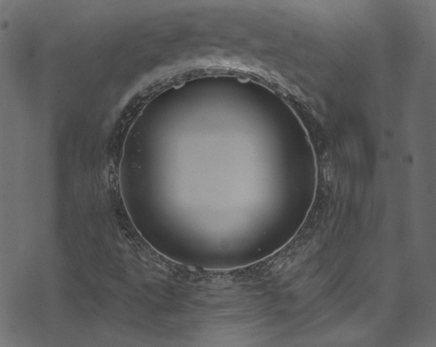 X0000074341495200608251338