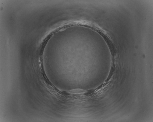 X0000074341496200608251338