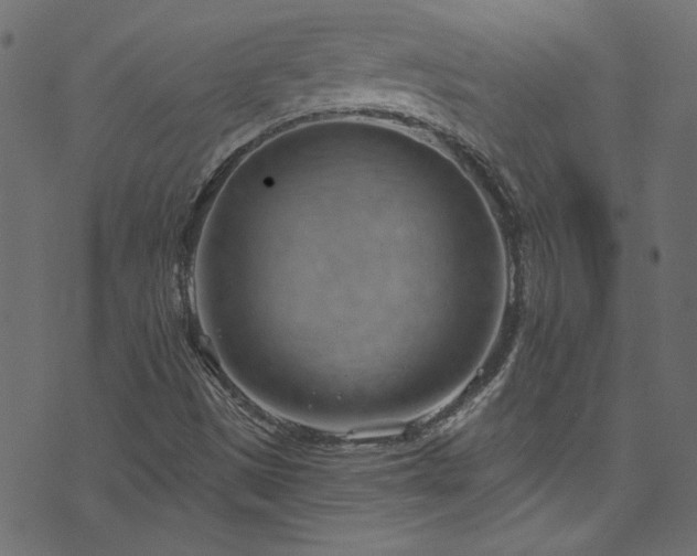 X0000074341497200608251338