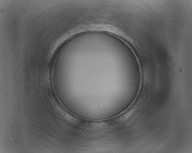 X0000074341498200608251338