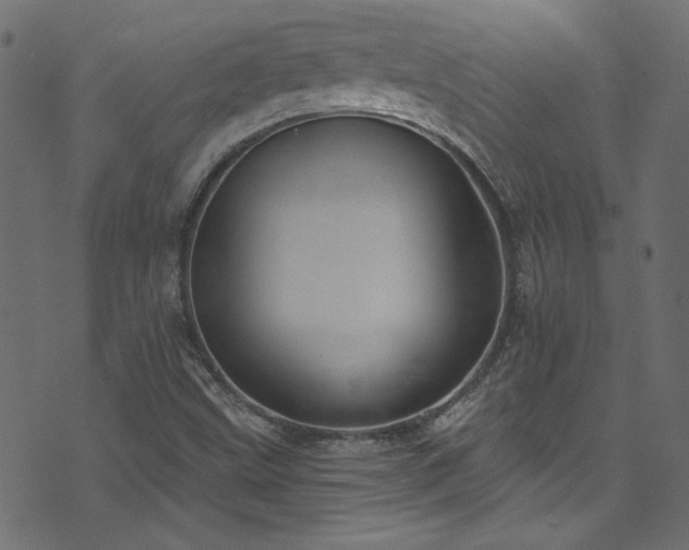 X0000074341499200608251338